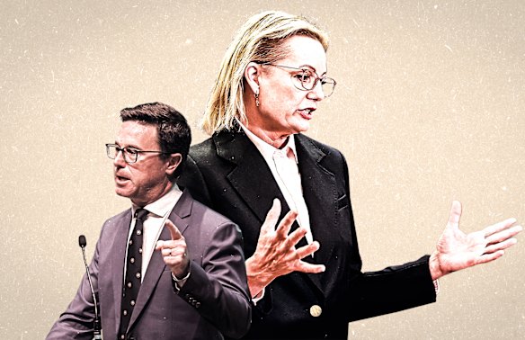 Nationals leader David Littleproud and Liberal leader Sussan Ley.