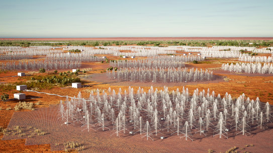 An artist’s impression of the low-frequency radio telescopes to be built in Western Australia’s outback.