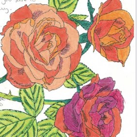 Coloured-in roses sent by Kathleen Folbigg to Tracy Chapman.