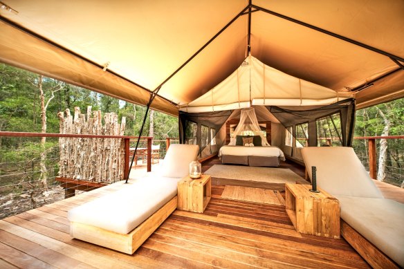 At Paperbark, your luxury tent is perched on raised platforms among towering trees.