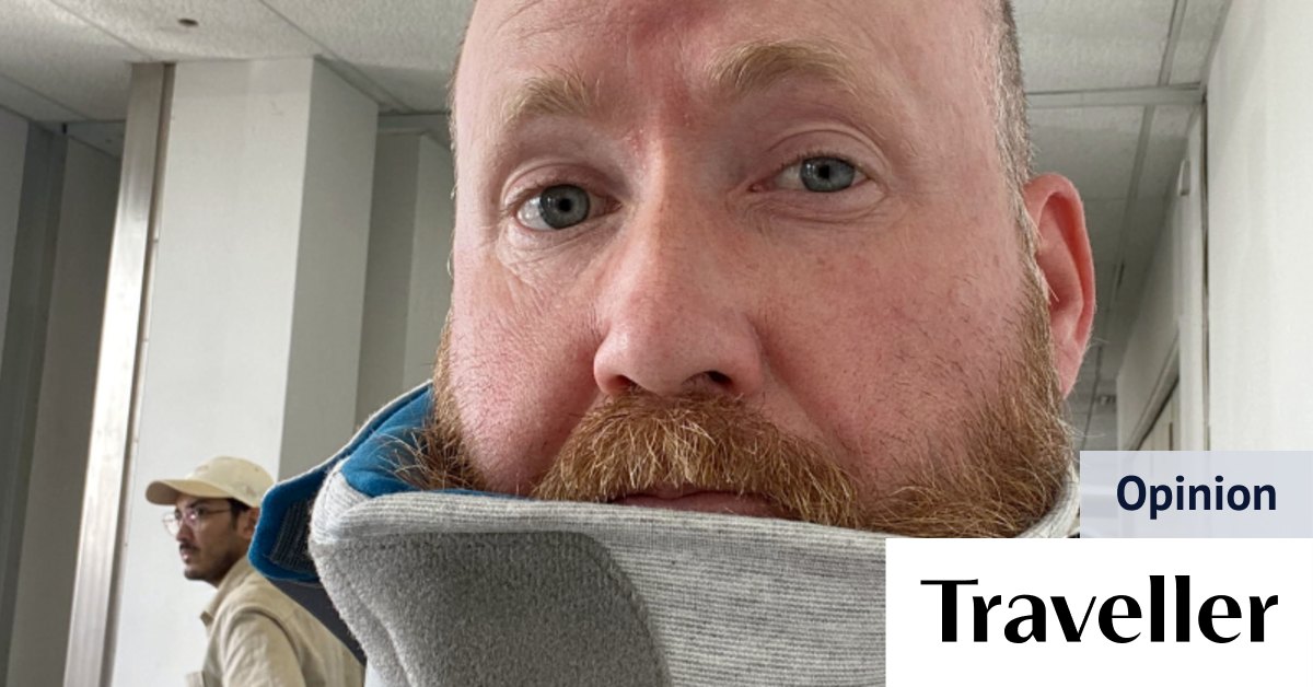 Trtl Travel Neck Pillow Review