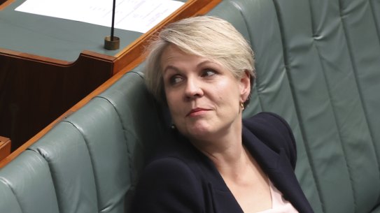 Tanya Plibersek regrets not calling out misogyny when Julia Gillard was prime minister.