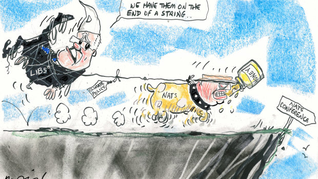 Illustration: Alan Moir