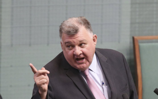 Craig Kelly said he had given political advice to the founder of Reignite Democracy Australia.