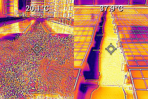 Surface temperatures were up to 20 degrees lower on the green roof compared with the standard solar roof on hot days. 