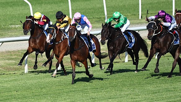 Tavi Time, centre, winning at Newcastle on Hunter day 2023.