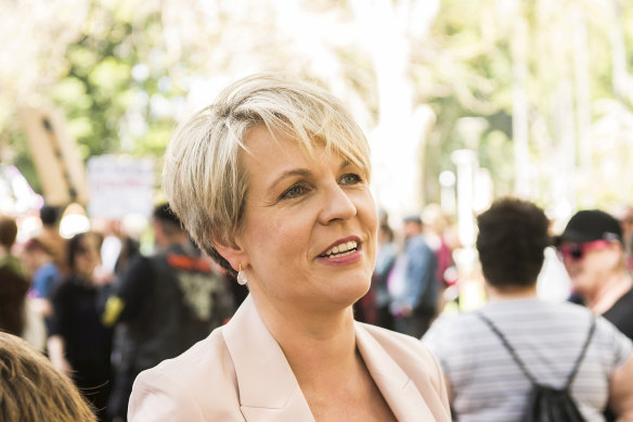 Federal Labor MP Tanya Plibersek at the abortion rally in Sydney.