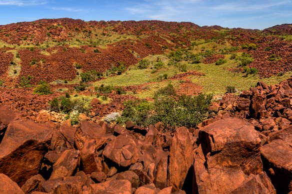More than a million petroglyphs are scattered around Murujuga National Park, which overlooks Woodside’s Karratha gas plant operations.
