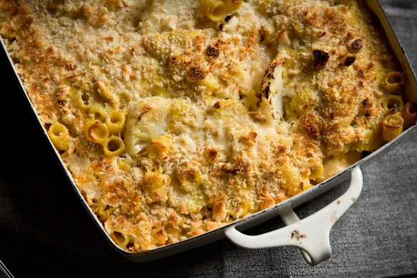 Golden tubetti pasta bake with tuna.