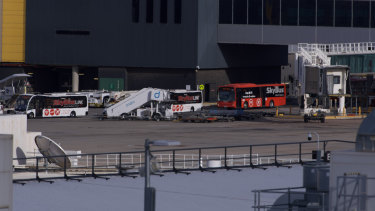 Skybuses waiting on the tarmac to take passengers from the SriLankan Airlines flight to their quarantine hotel.