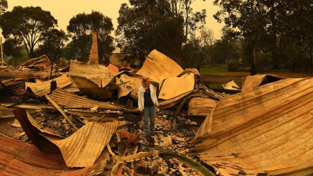 A ruined business in Mogo’s Main Street that was destroyed by the fire that swept through the NSW town on New Year's Eve.