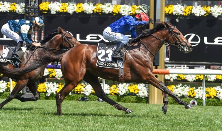 Blue streak: Cross Counter wins the Melbourne Cup, ridden by Kerrin McEvoy.