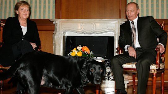 Germany’s then-chancellor Angela Merkel had to put up with Russian President Vladimir Putin’s dog at a meeting at his residence in 2007. He knew she was afraid of dogs.