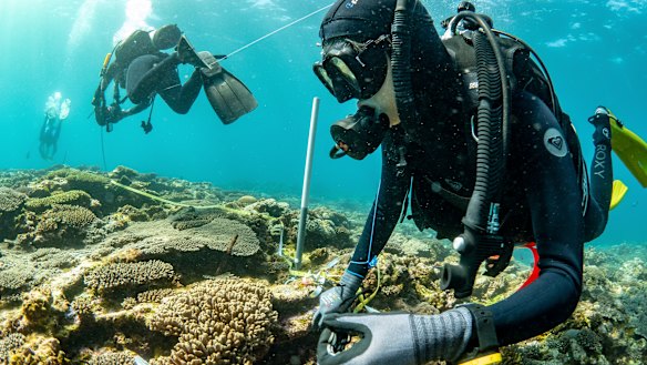 A recent research trip to Ningaloo.