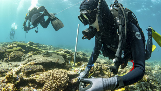 A recent research trip to Ningaloo.