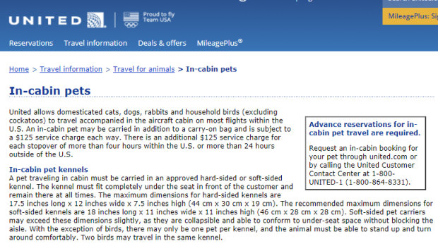 United Airlines' conditions on travelling with in-cabin pets from its website.