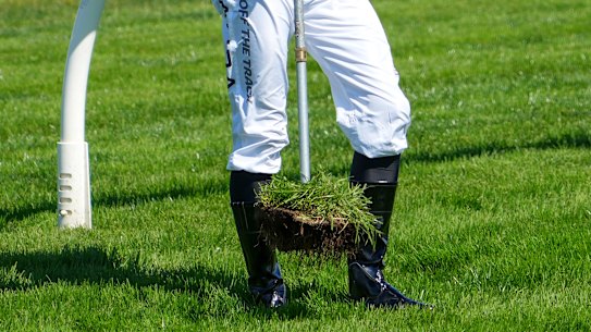 A clod of dirt lifted from the Caulfield track before race one.