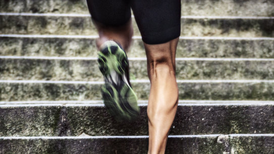 Too much of a good thing: we need a little fat in our muscles but too much is harmful.