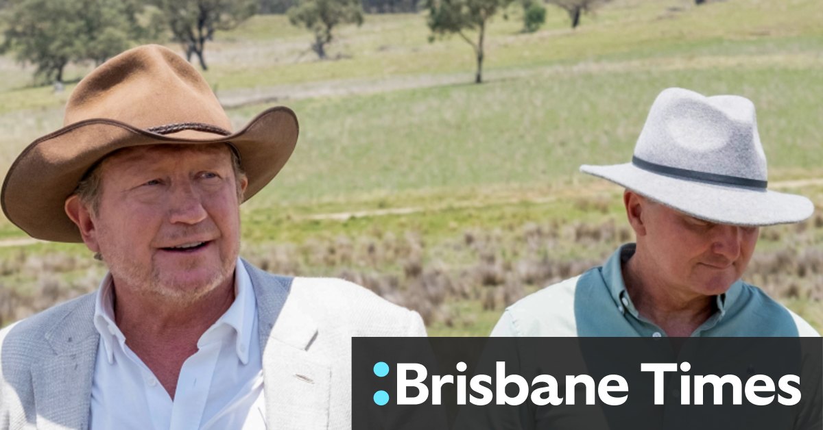 Andrew Forrest Reaffirms Commitment to Green Hydrogen Amidst Political Misinformation