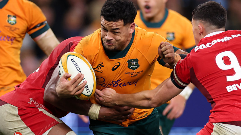 Schmidt turns to experience after Wallabies suffer more injury drama