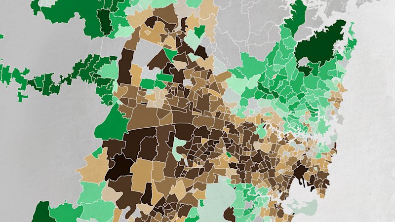 Sydney faces slow progress toward 40% tree canopy by 2036
