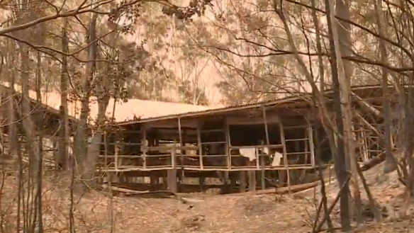 The aftermath of bushfires that forced evacuations in central Queensland, near Yeppoon, on Saturday and Sunday November 9 and 10, 2019.