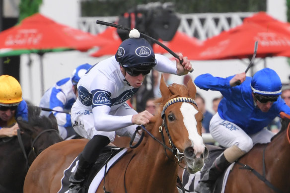 Gimcrack Stakes winner Every Rose is the on-top selection in the 2YO Classic.