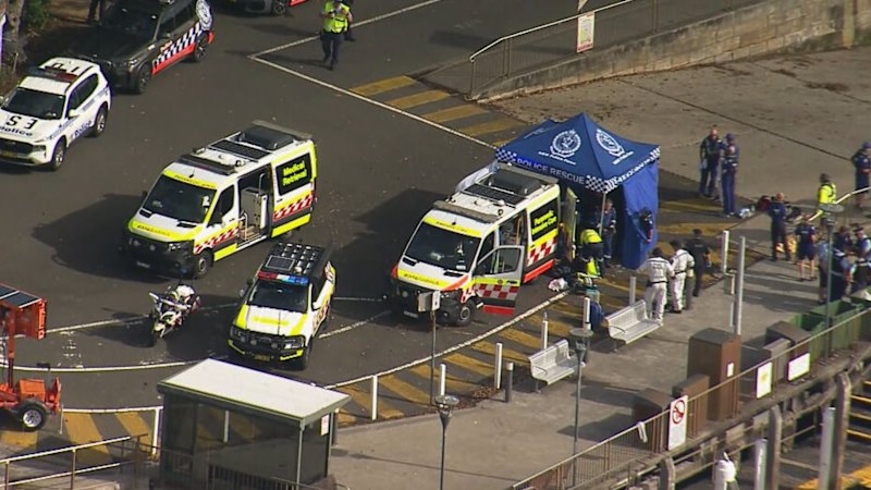 Boy in critical condition after shark attack at eastern suburbs beach