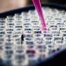Newly published results from Proteomics International have revealed its PromarkerEso blood test can detect early oesophageal cancer with 91 per cent accuracy.