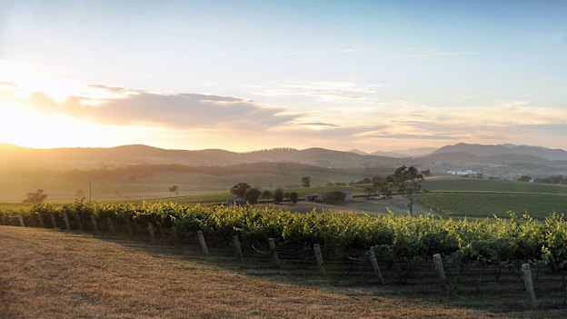 Mudgee’s Robert Oatley Vineyards now makes most of its wine interstate.