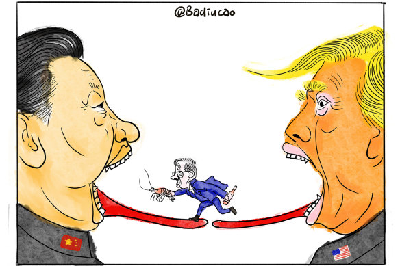 “Albo’s choice”
