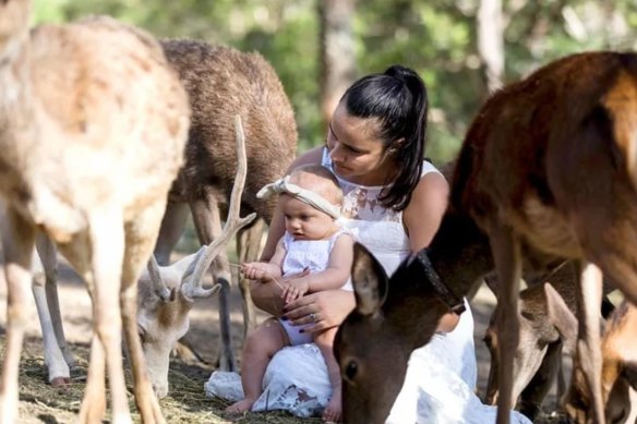 Visitors to the Lyell Deer Sanctuary can meet and cuddle rescued deer in a farm-style environment.