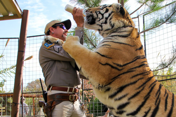 Netflix has a Tiger King special, The Tiger King and I, about working with Joe Exotic.