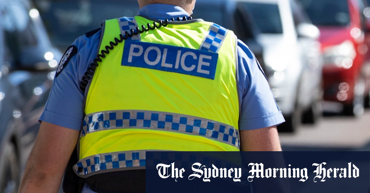 Two officers assaulted after 400 people gatecrash Byford Halloween party