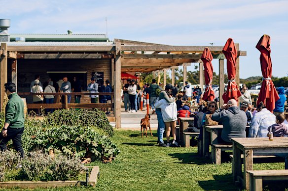 Stop by Hawkes Farm for coffee, fresh produce and hot chips.