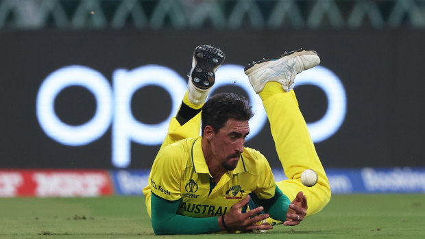 Catches lose matches. Mitch Starc puts one down.