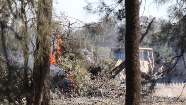 Burning vegetation at Colorado – the Turnbull family property contained some of the last koala habitat in the area. 