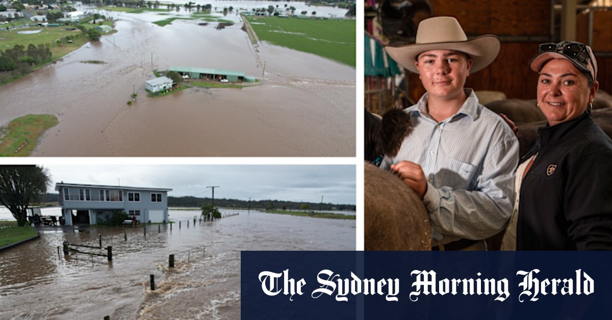 Royal Easter Show: Floods couldn't stop Jacob exhibiting cattle - Vimarsana News