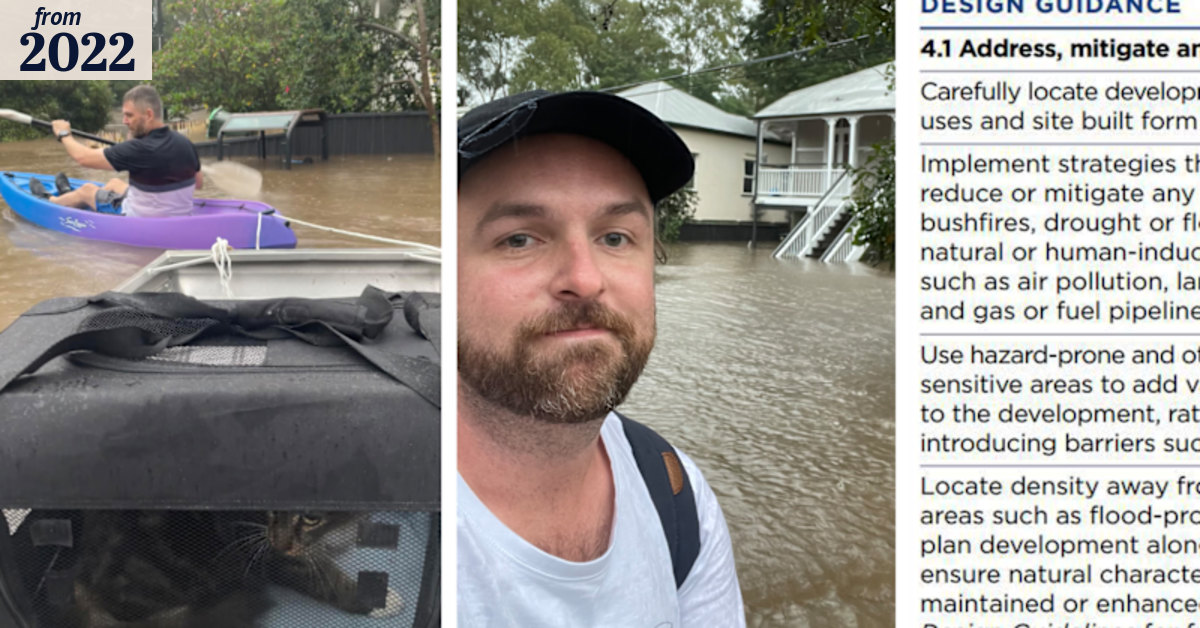 An architect and cat called Bear escaped the flood. Unlike neighbours ...