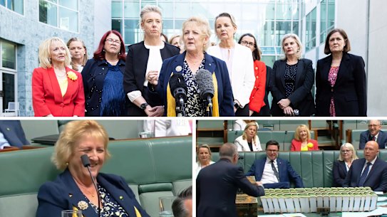 Liberal National MP Michelle Landry assembled several female Coalition MPs to call on the prime minister to apologise - but he says his remarks were aimed at Peter Dutton.