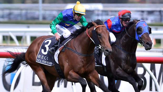 Bloodlines: All Too Hard will be among several group 1 winners with progeny stepping out at Kembla on Tuesday.