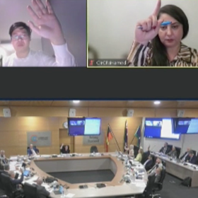 Cumberland City councillors vote on an amendment on a controversial night in Merrylands.