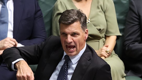 Opposition Leader Angus Taylor reacts as Prime Minister Anthony Albanese speaks during question time.