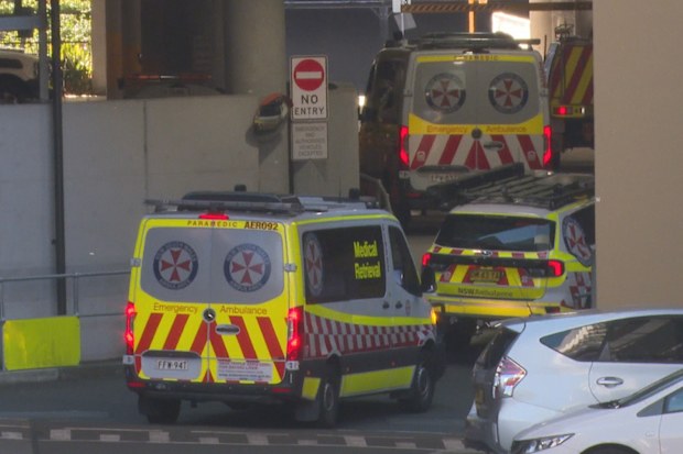 Paramedics took two children and a woman to hospital.