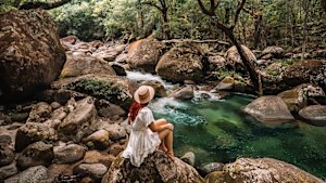 Daintree (Silky Oaks Lodge)