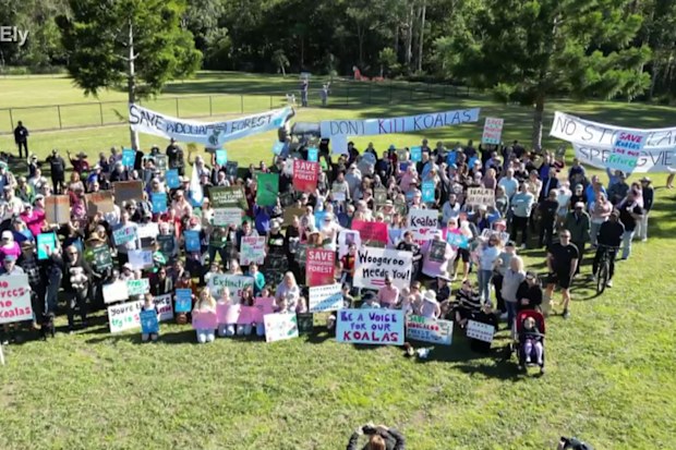 Hundreds have petitioned to protect Brisbane’s Woogaroo Forest.