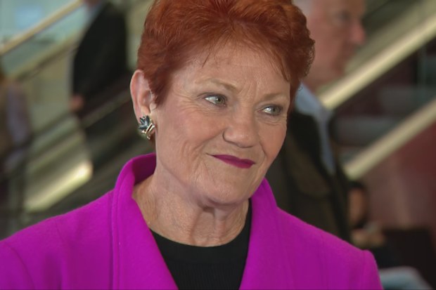 Pauline Hanson says 'milestone' poll has left Labor 'scared' | Nine.com.au