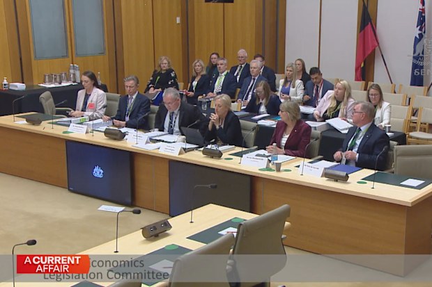 The investigation by Tax Ombudsman Ruth Owen was ordered by ATO Commissioner Rob Heferen.