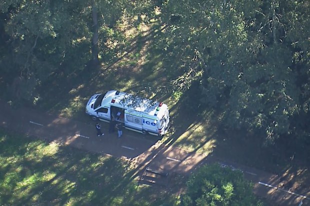 Police made the discovery during a coordinated bushland search.