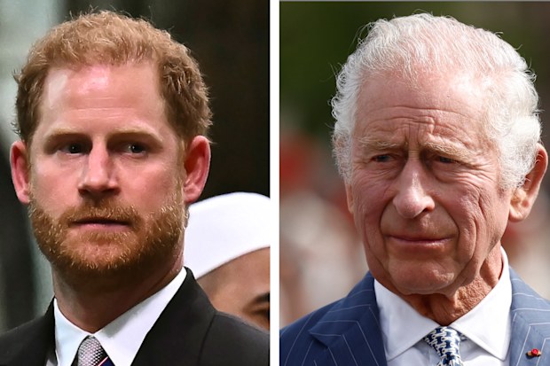 Prince Harry and King Charles III.